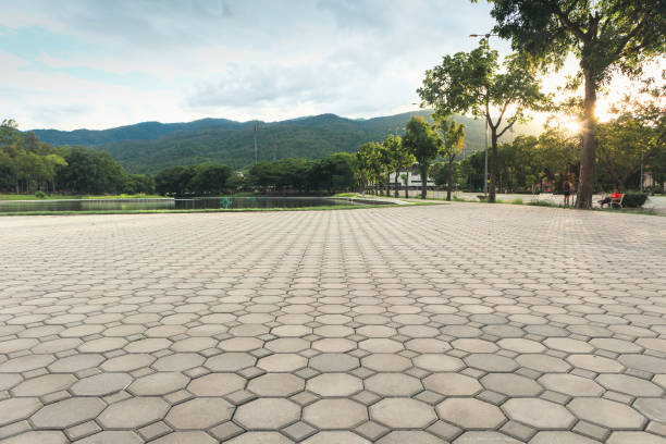 Best Brick Driveway Pavers  in Centreville, MD